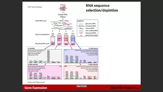 Gene Expression