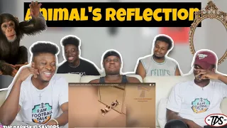 ANIMALS IN THE MIRROR REACTION **Hilarious*