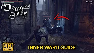 🔥 Inner Ward - Boletarian Palace Complete Guide 🔥 Demon's Souls PS5 | #RetroGAMEz