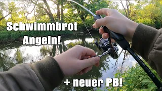 Angeln mit Schwimmbrot am kleinen Fluss! (Mit dicken Überraschungen!) 🍞🎣