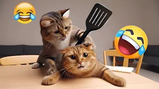 Funny Cat Videos of 2024 😍 YOU LAUGH YOU LOSE # 14