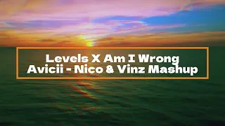 Levels X Am I Wrong - Avicii with Nico & Vinz (Mashup)