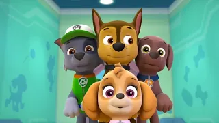 PAW Patrol | Marshall's Weekly Wipeouts! | Season 4 | Pups Save Luke Stars!