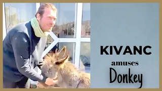 Kivanc Tatlitug ❖ Amuses a Donkey ❖ English ❖ 2021