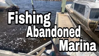 Fishing for BIG SNOOK at abandoned marina