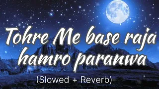 Tohre Me Base Raja Humro Paranwa | slowed+reverb| #music #lofi