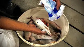 Как посолить рыбу ? Простой и вкусный рецепт!