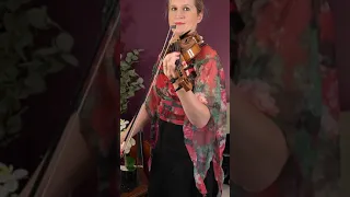 E String Violin