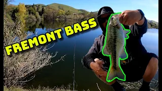 ULTRA CLEARWATER Pond Fishing! (Fremont Bass Fishing)