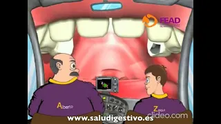 viaje virtual por el sistema digestivo (boca)