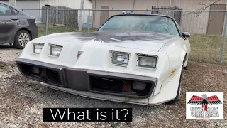 1980 Turbo Trans Am Pace car, found in a storage lot.