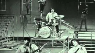 THE BARBARIANS     Hey Little Bird  1964