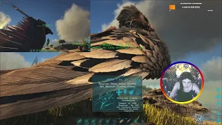 ARK Survival Evolved Суровое выживание #50 с Lady Goodman и SelinWill