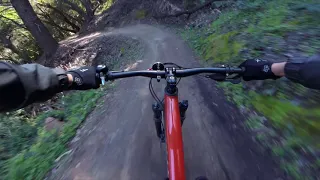 Specialized Rockhopper vs first real trail!