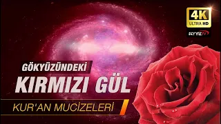 Gökyüzündeki Kırmızı Gül [Kuran Mucizeleri 4K]