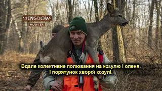 Вдале колективне полювання на козулю і оленя. І порятунок хворої козулі.