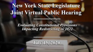 New York State Legislature Public Hearing - 07/15/20