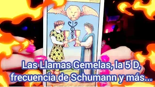 Las Llamas Gemelas, la 5D, frecuencia de Schumann, manifestación y más ✨💖