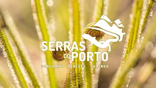 Parque Das Serras Do Porto