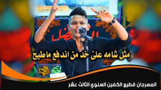 الشاعر رضا العبادي || مهرجان قطيع الكفين السنوي 2020 البصره الزبير