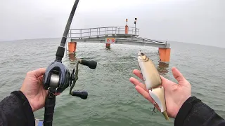 I Caught A GIANT Japanese Lake Monster From This Sunken Building!