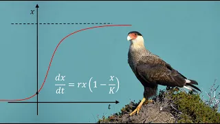 Дифференциальные уравнения в биологии