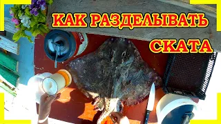 КАК РАЗДЕЛЫВАТЬ СКАТА(морская лиса)