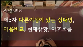 [타로/연애]  다른이성이 있는 상대방, 현재상황, 마음비교, 이후흐름(다른이성이있는상황전제)