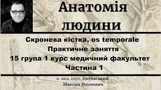 Скронева кістка, os temporale Практичне заняття 15 гр. 1 курс  мед.факультет Частина 1