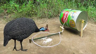 Method Unique Guinea Chicken Trap Using Dupro Cans & Hand Saw - Easy Creative DIY  Bird Trap