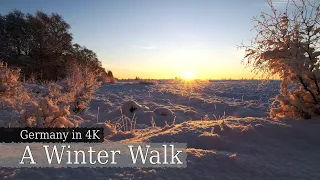 【4K】 A Winter Walk from Einfelder Lake into the Dosen Peatland