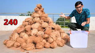 How Much Sweet Water in 240 Coconuts? 240 नारियल में कितना पानी निकलेगा? Surprising Results