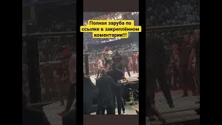 Чимаев вырубил Абубакара Нурмагомедова! На UFC 280. #shorts