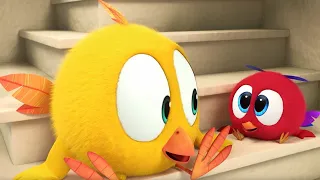 Chicky & Pollo em férias | Onde está Chicky? | Pintinha amarelinho | Desenhos animados Infantil