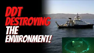 Environmental Disaster off Coast of California. DDT Dumping Ground Destroying Marine Animals