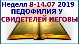 Неделя 8-14 июля 2019 г.: о правильном отношении к сексуальным извращенцам из собраний сИ