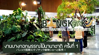 【4K】งานบางกอกพรรณไม้นานาชาติ ครั้งที่ 1 Bangkok International Exotic Plants Show バンコク国際外来植物ショー & セール