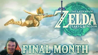 Tears of the Kingdom FINAL MONTH (Trailer Recreation)