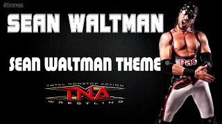 Impact (TNA) | Sean Waltman 30 Minutes Entrance Extended Theme Song | "Sean Waltman Theme"