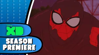 Marvel's Spider-Man: Maximum Venom | SEASON PREMIERE (Disney XD PROMO)