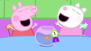 La mejor competencia de mascotas de Peppa | Peppa Pig en Español Episodios | Pepa la cerdita