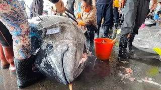 800 lb giant bluefin tuna cutting show/amazing meat cutting skills!!