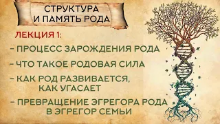 Как организована структура рода. Основание и основатель рода, родовой эгрегор. Как род стал семьей.