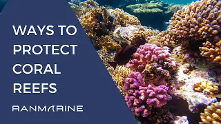 Ways to Protect Coral Reefs - RanMarine Techology