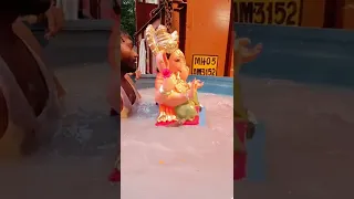 Ganpati Visarjan