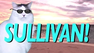 HAPPY BIRTHDAY SULLIVAN! - EPIC CAT Happy Birthday Song