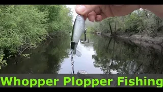 Suwannee river bass fishing! Whopper Plopper!