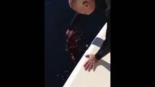 12lb Lobster release