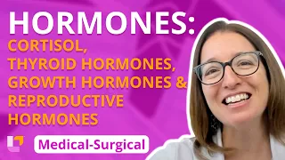 Cortisol, T3/T4, GH, Estrogen, Progesterone, Testosterone & more - Medical-Surgical | @LevelUpRN