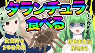 【体当たり食レポ】おいしい？やばい！？初めて虫を食べてみる！【星巡あも VTuber】